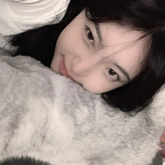 打黑风暴